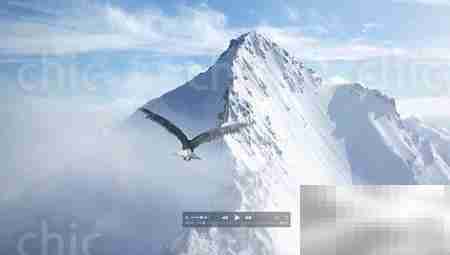 QuickTime剪裁视频教程