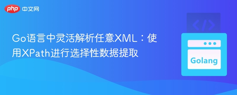 Go语言XPath解析XML数据技巧