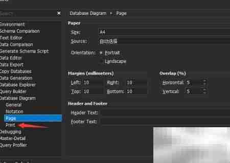 dbForge for MySQL页面大小设置