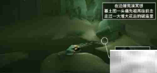 光遇2.10每日任务速通攻略