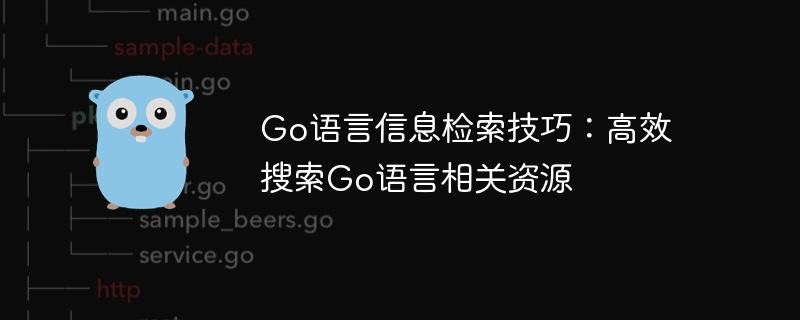 Go语言信息检索技巧：高效搜索Go语言相关资源