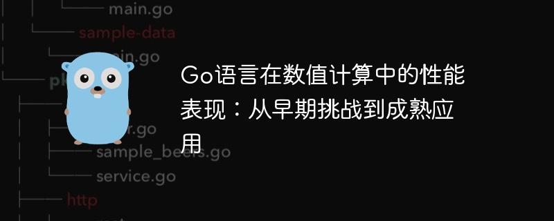 Go语言在数值计算中的性能表现：从早期挑战到成熟应用
