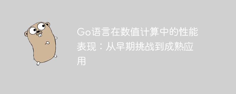 Go语言数值计算性能解析：从挑战到成熟应用