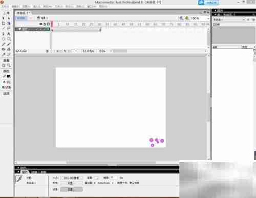 Flash使用入门指南