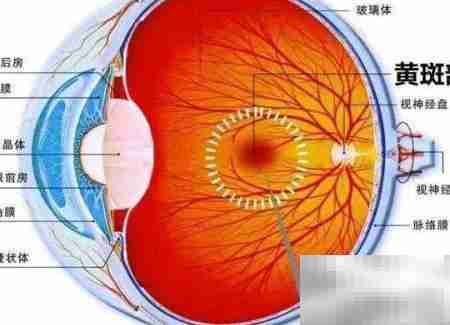 关灯玩手机有哪些危害？