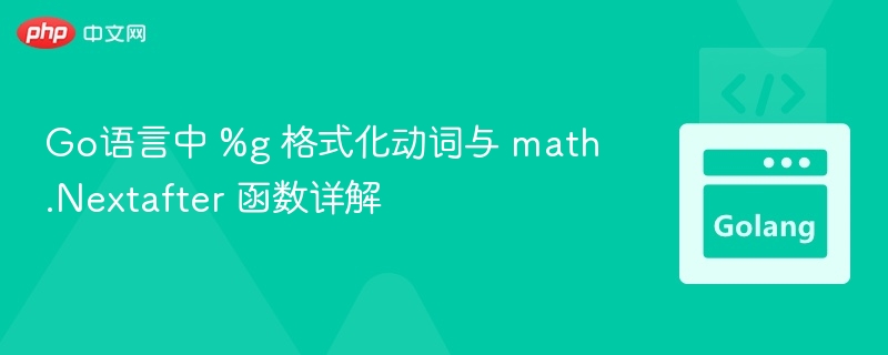 Go语言%g格式与math.Nextafter用法解析