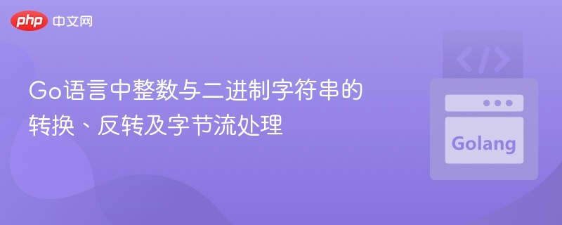 Go语言整数与二进制转换技巧