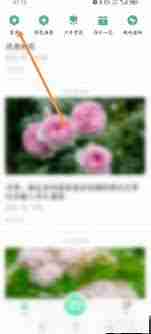 形色app如何发布鉴定