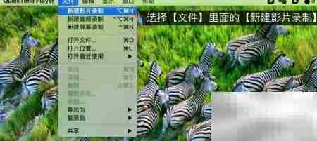 iPhone投屏Mac全攻略