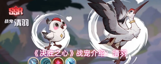 《决胜之心》战宠介绍：清羽