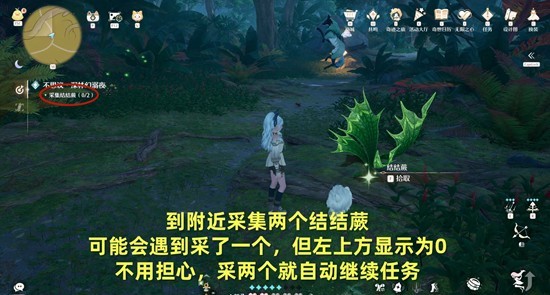 《无限暖暖》不思议深林幻溺夜攻略