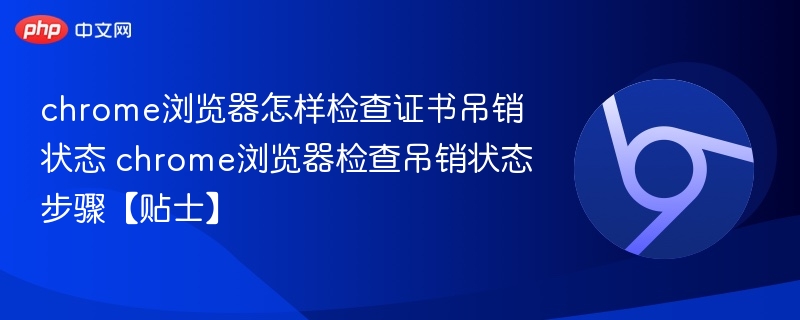 chrome浏览器怎样检查证书吊销状态 chrome浏览器检查吊销状态步骤【贴士】