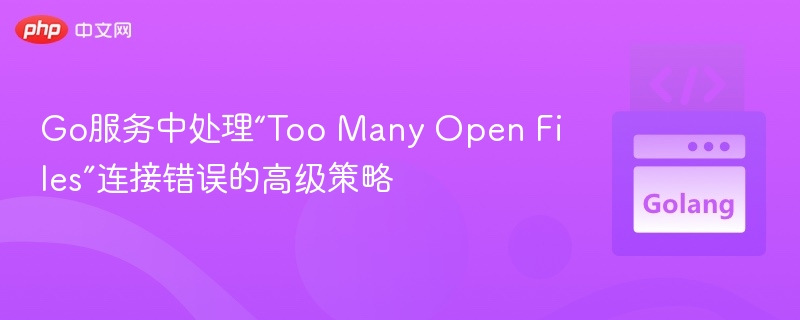 Go服务处理“Too Many Open Files”高级方法