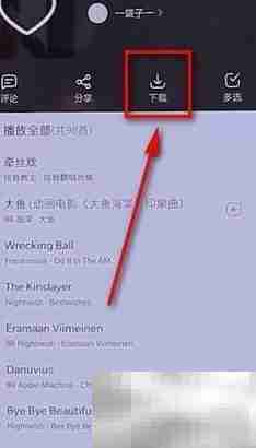 网易云音乐批量下载教程