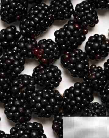 紫色食物知多少