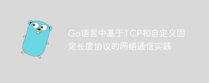 Go语言TCP通信与固定协议实践指南
