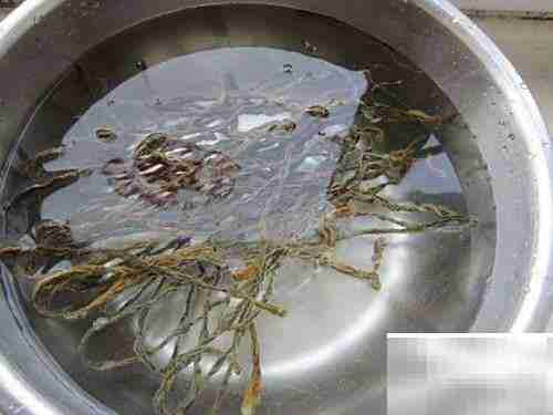 萨斯肯制作全攻略