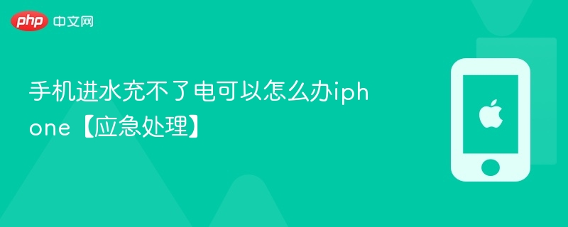 手机进水充不了电可以怎么办iphone【应急处理】