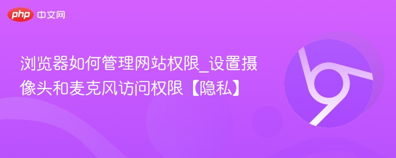 浏览器如何管理网站权限_设置摄像头和麦克风访问权限【隐私】