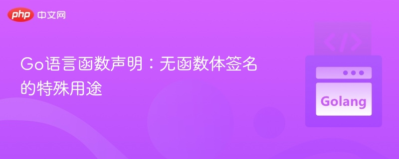 Go语言函数声明：无体签名的妙用