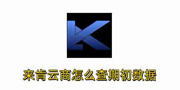 来肯云商怎么查期初数据？来肯云商查期初数据的方法