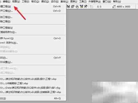 VB创建工程步骤详解