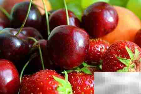 从零学开水果店