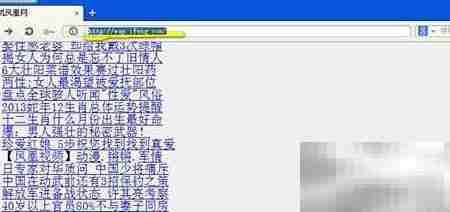 电脑访问WAP网站方法
