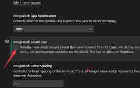 如何在vscode中关闭it环境