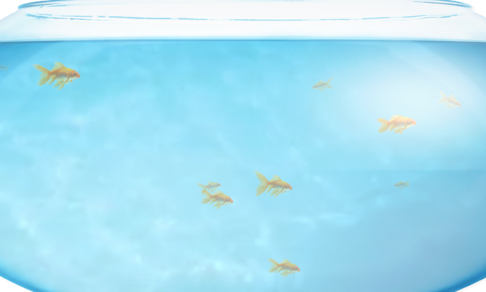 fishbowl鱼缸官网 fishbowl性能测试网站