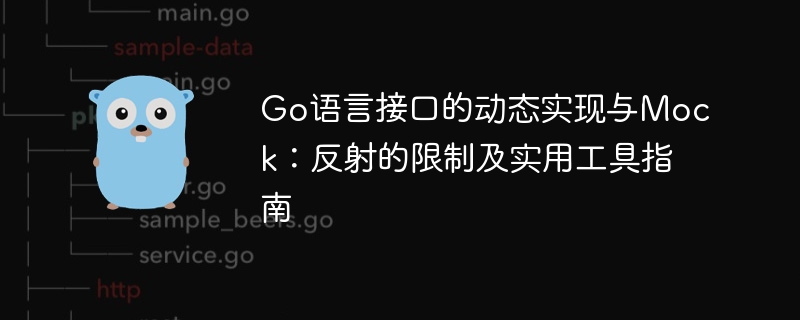 Go语言接口反射实现与Mock技巧