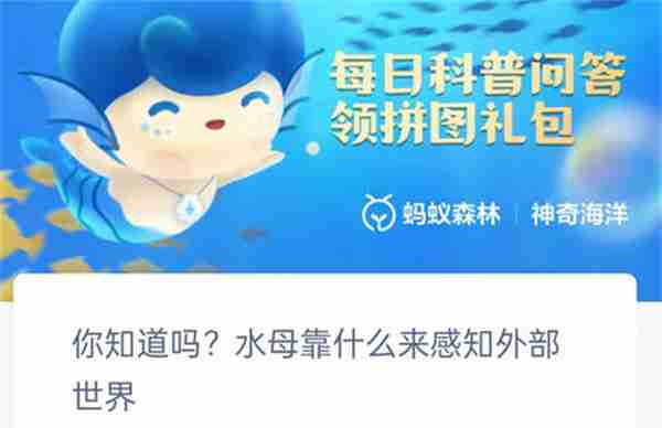 支付宝神奇海洋水母靠什么来感知外部世界