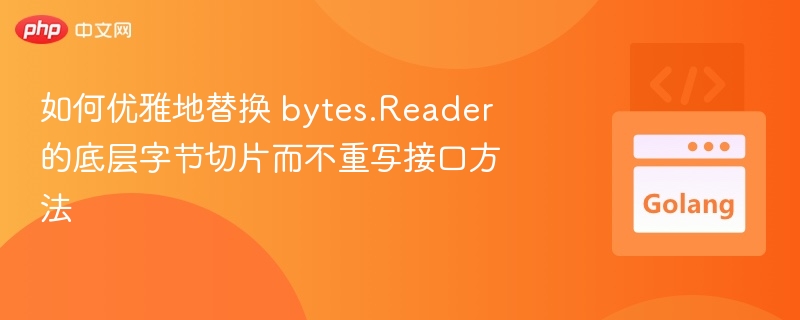 如何优雅替换 bytes.Reader 底层切片