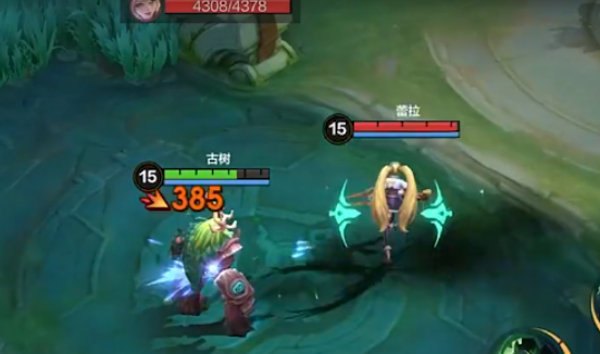 《决胜巅峰》古树介绍