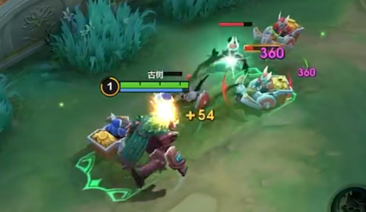 《决胜巅峰》古树介绍