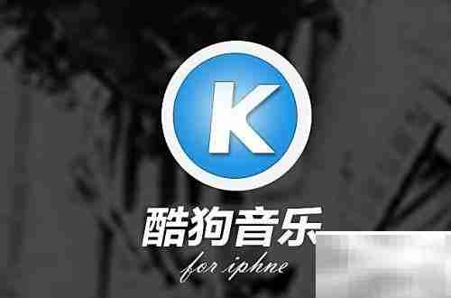 婚礼剪辑师常用音乐软件推荐