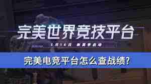 在完美电竞平台如何查战绩