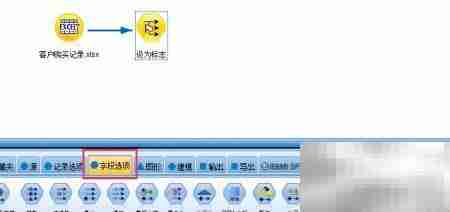 SPSS Modeler设为标志技巧