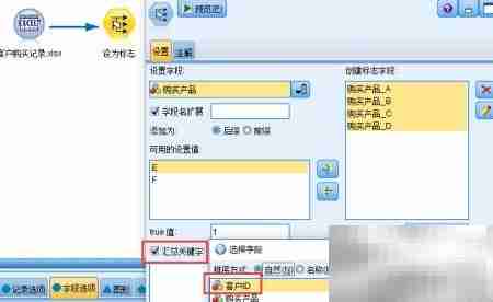 SPSS Modeler设为标志技巧