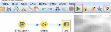 SPSS Modeler设为标志技巧