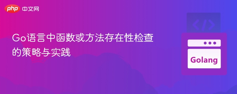 Go语言函数方法检查技巧与应用