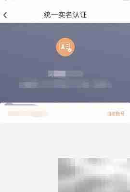 如祺出行实名认证查询方法