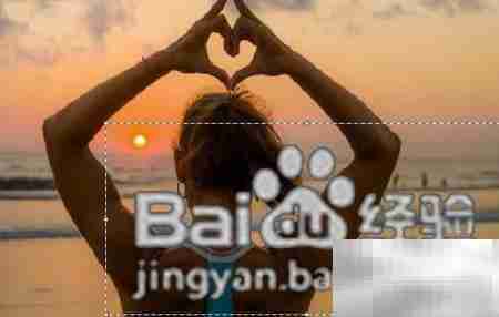 画图中轻松添加照片徽标