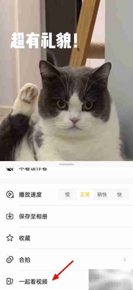 两人远程同步看视频方法