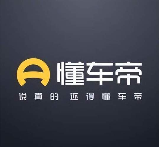 懂车帝app如何查看车辆的续航达成率 懂车帝app新能源车实测续航查询【最新】