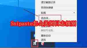 如何关闭Snipaste的日志级别