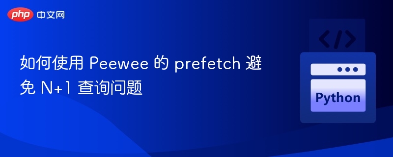 Peewee prefetch 简单用法与优化技巧