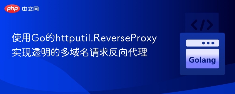 使用Go的httputil.ReverseProxy实现透明的多域名请求反向代理
