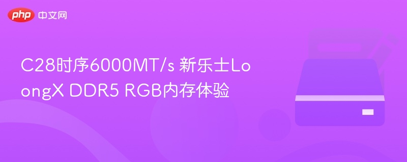 C28时序6000MT/s 新乐士LoongX DDR5 RGB内存体验