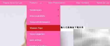 AliExpress图片批量下载教程